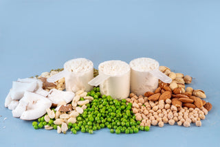 Collagen Protein vs. Whey Protein vs. Plant Protein: Which is Better?