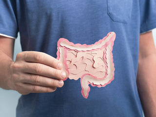 Know Your Microbiome: How your gut bacteria affects your health!