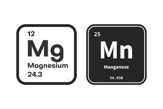 Manganese vs Magnesium: What’s the Difference?