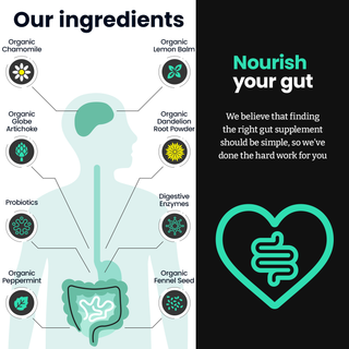 Gut 3-in-1 - 60 Capsules | Feel Complete