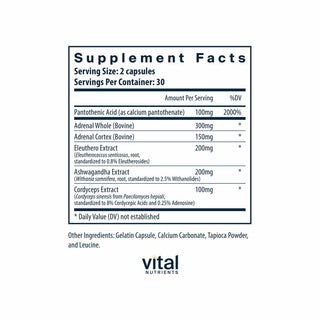 Adrenal Support - 60 Capsules | Vital Nutrients