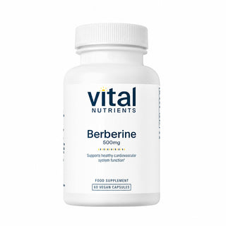 Berberine 500mg - 60 Capsules | Vital Nutrients